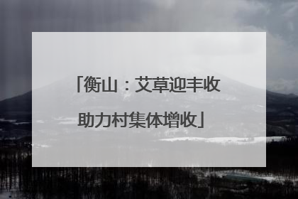 衡山：艾草迎丰收 助力村集体增收