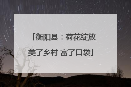 衡阳县：荷花绽放 美了乡村 富了口袋