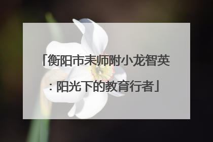 衡阳市耒师附小龙智英：阳光下的教育行者