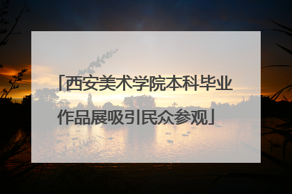西安美术学院本科毕业作品展吸引民众参观