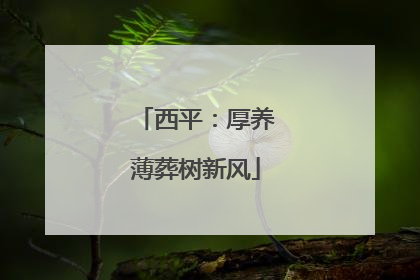 西平：厚养薄葬树新风
