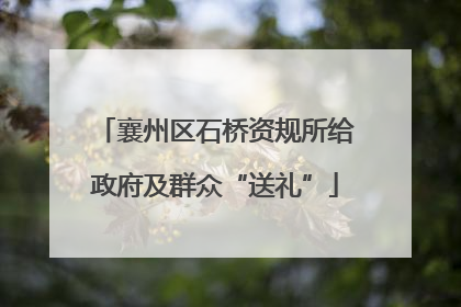 襄州区石桥资规所给政府及群众“送礼”