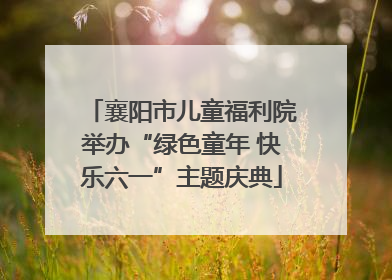 襄阳市儿童福利院举办“绿色童年 快乐六一”主题庆典