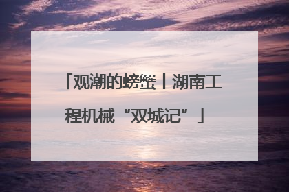 观潮的螃蟹丨湖南工程机械“双城记”