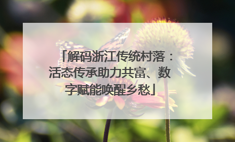 解码浙江传统村落：活态传承助力共富、数字赋能唤醒乡愁