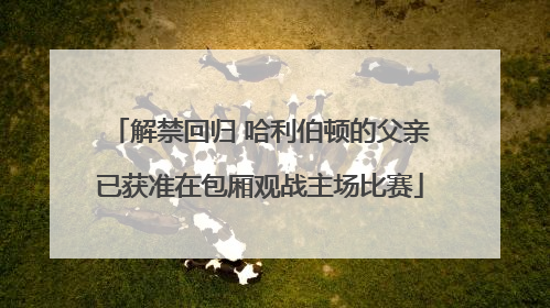 解禁回归 哈利伯顿的父亲已获准在包厢观战主场比赛