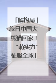 解构局丨旅日中国大熊猫回家！“萌实力”征服全球