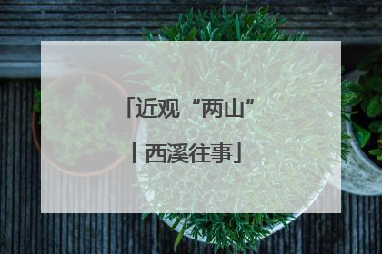近观“两山”丨西溪往事