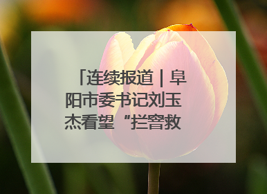 连续报道｜阜阳市委书记刘玉杰看望“拦窨救人”英勇团队