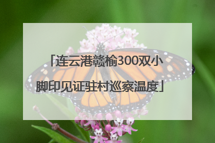 连云港赣榆300双小脚印见证驻村巡察温度