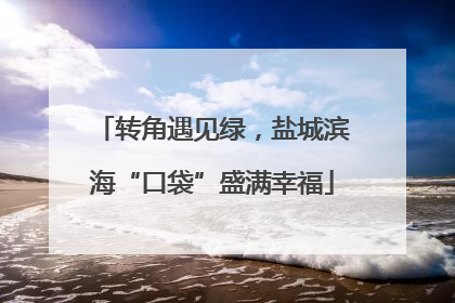 转角遇见绿，盐城滨海“口袋”盛满幸福