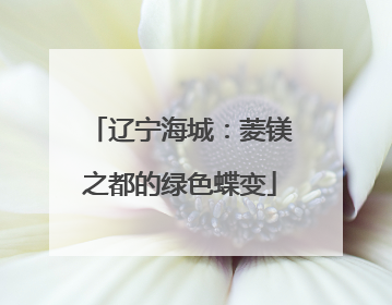 辽宁海城：菱镁之都的绿色蝶变