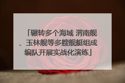辗转多个海域 渭南舰、玉林舰等多艘舰艇组成编队开展实战化演练