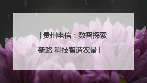 贵州电信：数智探索新路 科技智造农景
