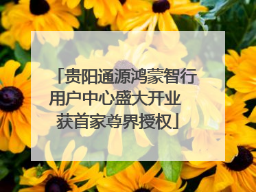 贵阳通源鸿蒙智行用户中心盛大开业 获首家尊界授权