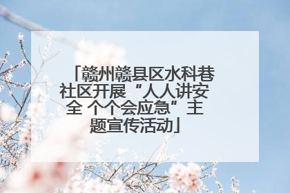 赣州赣县区水科巷社区开展“人人讲安全 个个会应急”主题宣传活动