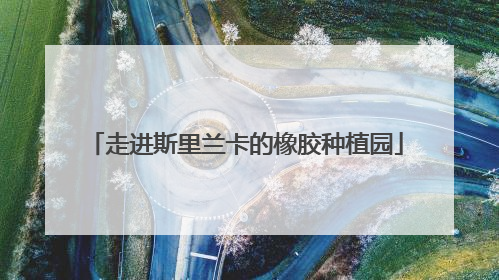 走进斯里兰卡的橡胶种植园