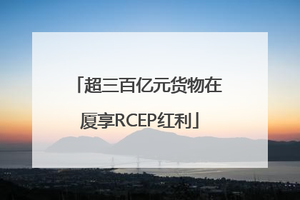 超三百亿元货物在厦享RCEP红利