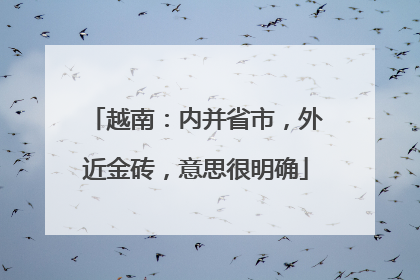 越南：内并省市，外近金砖，意思很明确