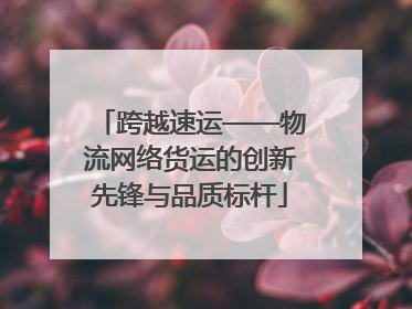 跨越速运——物流网络货运的创新先锋与品质标杆