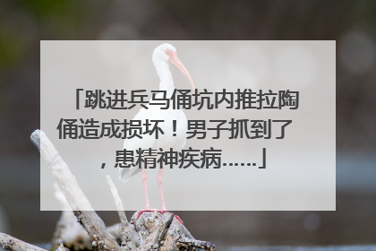跳进兵马俑坑内推拉陶俑造成损坏！男子抓到了，患精神疾病……