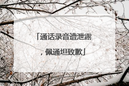通话录音遭泄露，佩通坦致歉