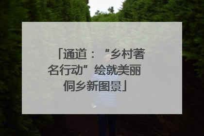 通道：“乡村著名行动”绘就美丽侗乡新图景