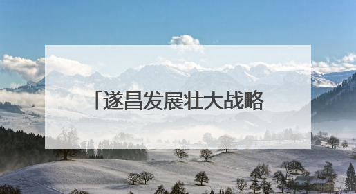 遂昌发展壮大战略性新兴产业 龙头引领 集群共进