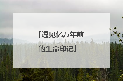 遇见亿万年前的生命印记