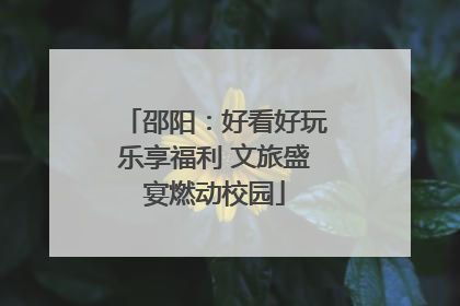 邵阳：好看好玩乐享福利 文旅盛宴燃动校园