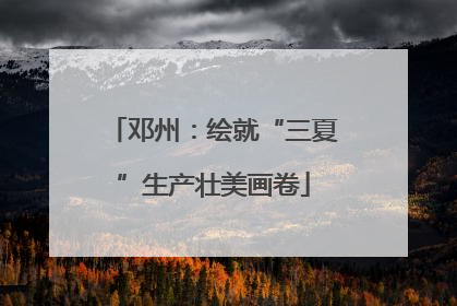 邓州：绘就“三夏”生产壮美画卷