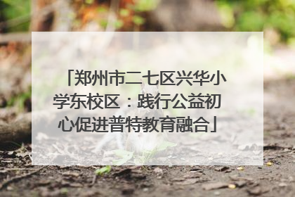 郑州市二七区兴华小学东校区：践行公益初心促进普特教育融合