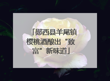 郧西县羊尾镇樱桃酒酿出“致富”新味道