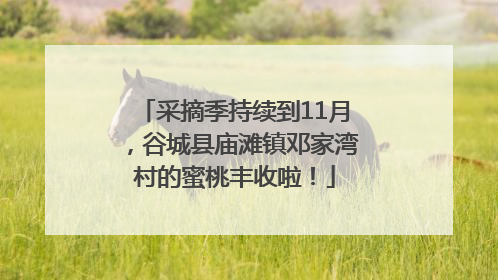 采摘季持续到11月，谷城县庙滩镇邓家湾村的蜜桃丰收啦！