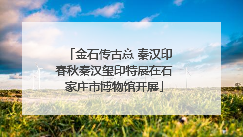 金石传古意 秦汉印春秋秦汉玺印特展在石家庄市博物馆开展