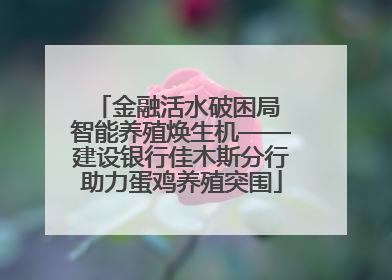 金融活水破困局 智能养殖焕生机——建设银行佳木斯分行助力蛋鸡养殖突围