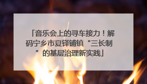 音乐会上的寻车接力！解码宁乡市夏铎铺镇“三长制”的基层治理新实践