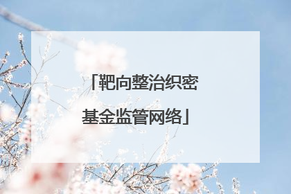 靶向整治织密基金监管网络