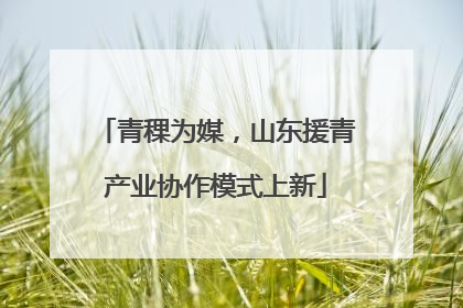 青稞为媒，山东援青产业协作模式上新