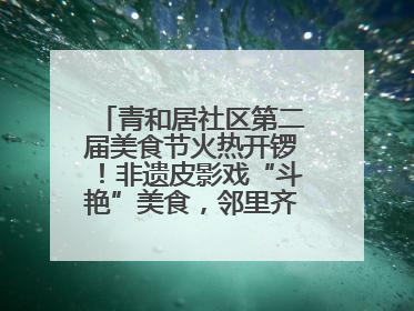 青和居社区第二届美食节火热开锣！非遗皮影戏“斗艳”美食，邻里齐聚“粽”享温情
