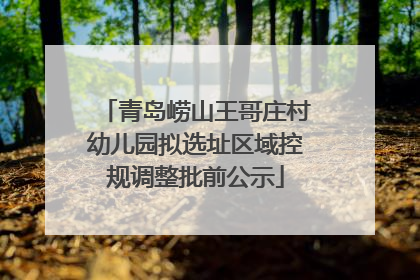 青岛崂山王哥庄村幼儿园拟选址区域控规调整批前公示