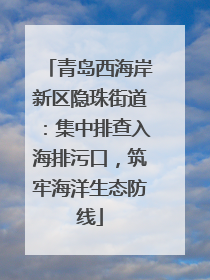 青岛西海岸新区隐珠街道：集中排查入海排污口，筑牢海洋生态防线