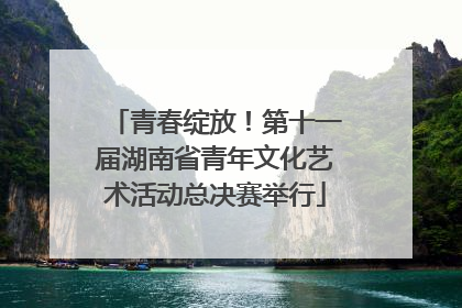 青春绽放！第十一届湖南省青年文化艺术活动总决赛举行