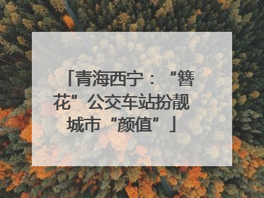 青海西宁：“簪花”公交车站扮靓城市“颜值”