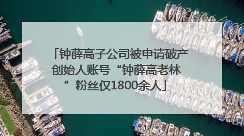 钟薛高子公司被申请破产 创始人账号“钟薛高老林”粉丝仅1800余人