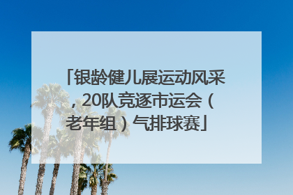 银龄健儿展运动风采，20队竞逐市运会（老年组）气排球赛