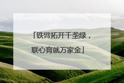 铁臂拓开千垄绿，联心育就万家金