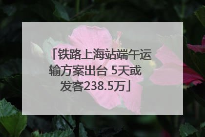 铁路上海站端午运输方案出台 5天或发客238.5万