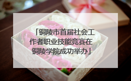 铜陵市首届社会工作者职业技能竞赛在铜陵学院成功举办