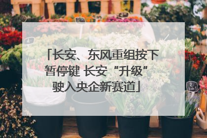 长安、东风重组按下暂停键 长安“升级”驶入央企新赛道
